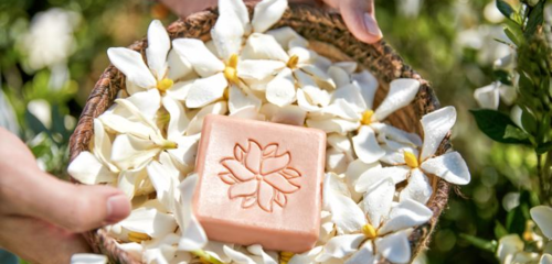 在生態友好的旅途中，愛上泰順 可持續旅游項目開發與管理的探索